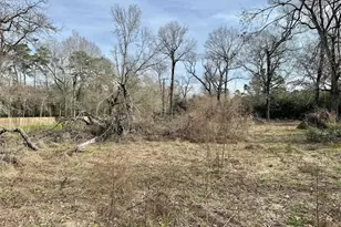 14606 Brooks Rd, Conroe, TX 77302 - Photo 6