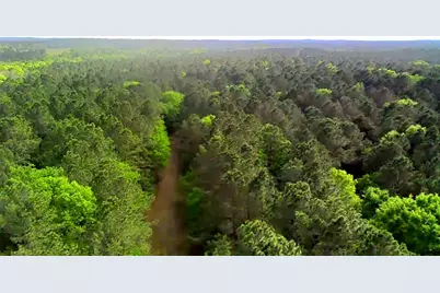 Tbd Parcel # 96677 Hwy 190, Point Blank, TX 77364 - Photo 2