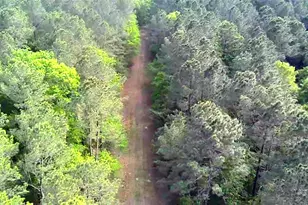 Tbd Parcel # 96677 Hwy 190, Point Blank, TX 77364 - Photo 1