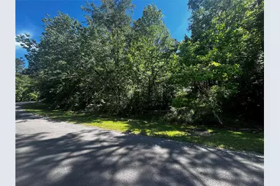70 Wentworth Lane, Coldspring, TX 77331 - Photo 2
