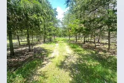 3351 W I-10 Frontage Road, Flatonia, TX 78941 - Photo 4