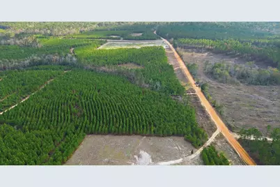 Tbd Young Road, Livingston, TX 77351 - Photo 2