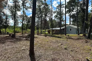 24254 Jane Ave, Porter, TX 77365 - Photo 24