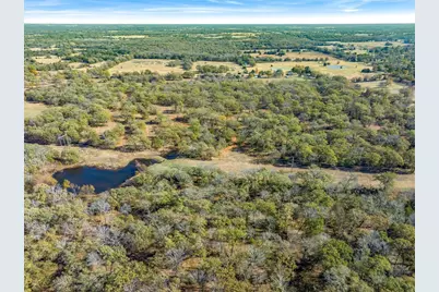 66.00 (+/-) Acres Vz County Road 2145, Canton, TX 75103 - Photo 6