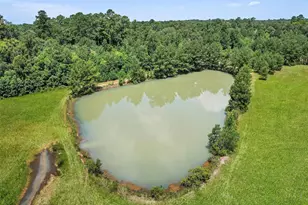 11304 Fostoria Rd, Cleveland, TX 77328 - Photo 22