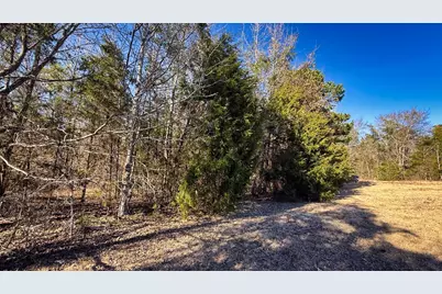 Tbd #5 County Road 477 Parcel 5, Henderson, TX 75654 - Photo 12