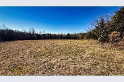 Tbd #5 County Road 477 Parcel 5, Henderson, TX 75654 - Photo 20