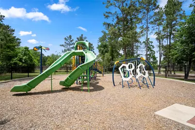 429 Camas Creek Lane, Magnolia, TX 77354 - Photo 48