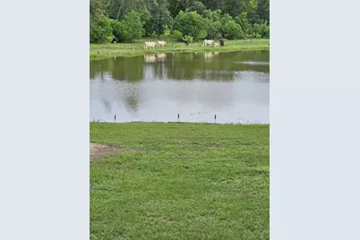 363 Deer Run Road, Trinity, TX 75862 - Photo 24