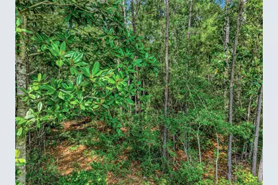 103 Eagle Run Road, Willis, TX 77378 - Photo 32