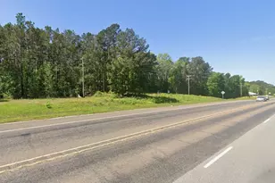 P#2 Tbd Us-190, Point Blank, TX 77364 - Photo 1