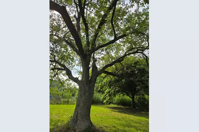 900 E Houston Street, Highlands, TX 77562 - Photo 16