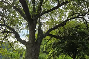 900 E Houston St, Highlands, TX 77562 - Photo 16