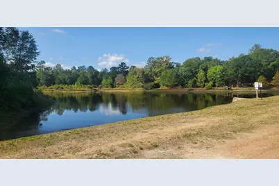 29044 Red Fox Drive, Hempstead, TX 77445 - Photo 10