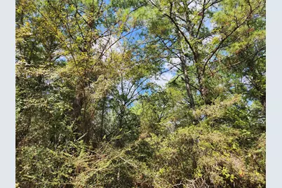 29044 Red Fox Drive, Hempstead, TX 77445 - Photo 26