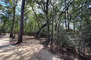 3057 Pampaneria Dr, Conroe, TX 77301 - Photo 32