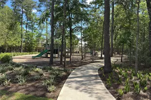 3057 Pampaneria Dr, Conroe, TX 77301 - Photo 30
