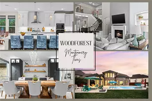 141 Bronze Bow Dr, Montgomery, TX 77316 - Photo 1