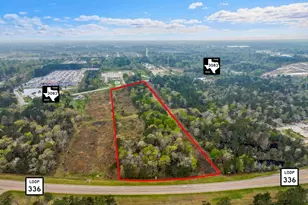 1303 Fm 3083 Rd, Conroe, TX 77301 - Photo 2