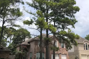 18126 Somerset Knolls, Houston, TX 77094 - Photo 2