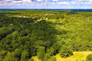 275 Fairview E, Livingston, TX 77351 - Photo 28