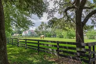 3577 Katy Hockley Rd, Katy, TX 77493 - Photo 40