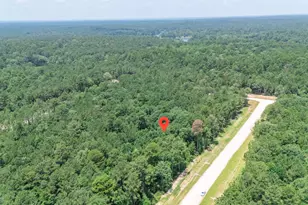 128 Splendid Rd, New Waverly, TX 77340 - Photo 1