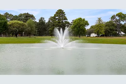 1433 Swayze Street, Magnolia, TX 77354 - Photo 22