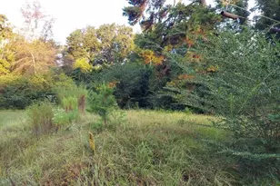 0 Pearson St, Avinger, TX 75630 - Photo 2