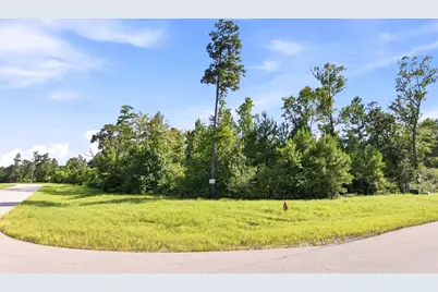 300 Iron Horse Road, Willis, TX 77378 - Photo 1