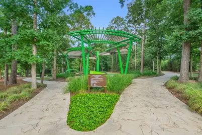222 Elianne Lace Ct Court, Willis, TX 77318 - Photo 28