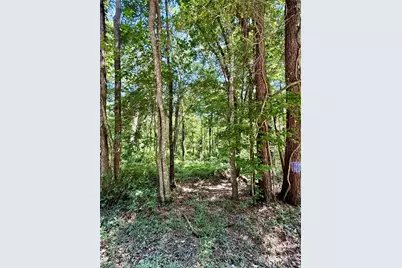 Tbd Lot 3 Rolling Hills Drive, Porter, TX 77365 - Photo 4