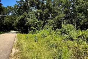 Tbd Lot 3 Rolling Hills Dr, Porter, TX 77365 - Photo 1