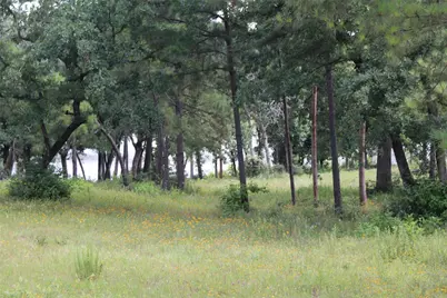 Tract 152 Private Road 1311, Centerville, TX 75833 - Photo 16