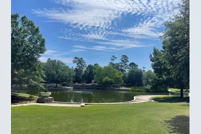 67 History Row, The Woodlands, TX 77380 - Photo 38