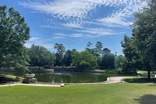 67 History Row, The Woodlands, TX 77380 - Photo 38