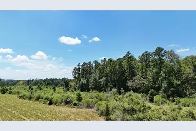 Tbd Oakdale Loop, Livingston, TX 77351 - Photo 6