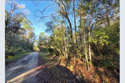 127 County Road 360, Splendora, TX 77372 - Photo 10