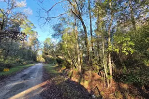 127 County Rd 360, Splendora, TX 77372 - Photo 10