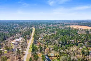 106 Oak Hollow Blvd, Hockley, TX 77447 - Photo 46