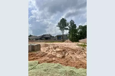 41758 Wendele Way, Montgomery, TX 77316 - Photo 8