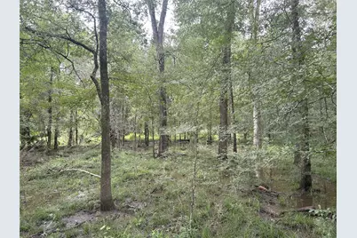 Tbd Holik Road, Hempstead, TX 77445 - Photo 32