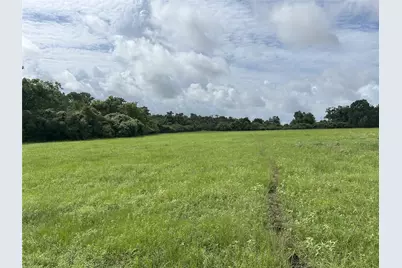 Tbd Holik Road, Hempstead, TX 77445 - Photo 22