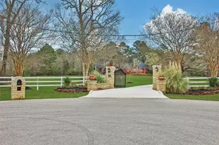 20011 Hilltop Ranch Dr, Montgomery, TX 77316 - Photo 2