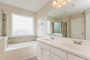 29012 Birch Green Way, Spring, TX 77386 - Photo 12