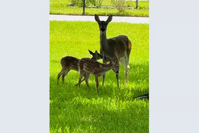 8703 Majesty Lane, Richmond, TX 77469 - Photo 8