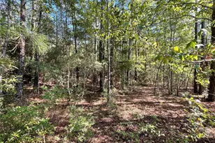 4630 U.S. Hwy 96 N, Jasper, TX 75951 - Photo 4