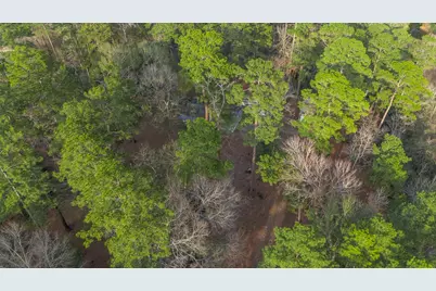 27310 Decker Woods Drive, Magnolia, TX 77354 - Photo 32