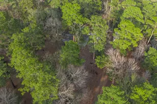 27310 Decker Woods Dr, Magnolia, TX 77354 - Photo 32