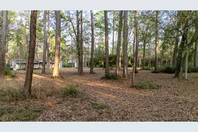 27310 Decker Woods Drive, Magnolia, TX 77354 - Photo 40